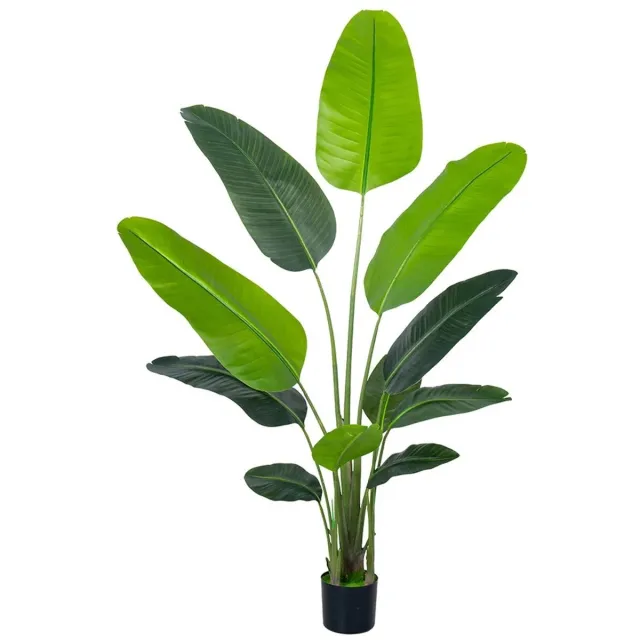 Veya Kunstplant 180cm - Flexibel vormbaar - Nepplant - Kunstplanten voor binnen - Bananenbladeren - Strelitzia - Groen - Zijde