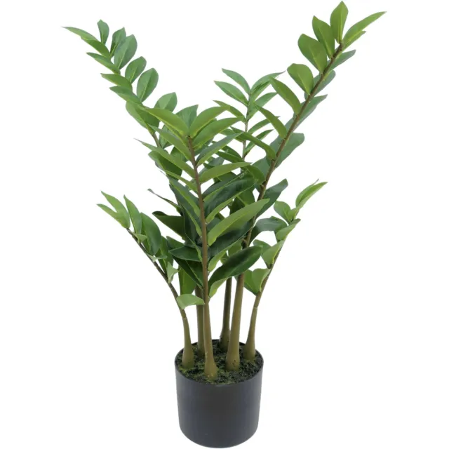 PrettyPlants Zamioculcas Kunstplant 75cm | Kleine Kunstplant | Kunstplant voor binnen | Nepplant Zamioculcas Groen