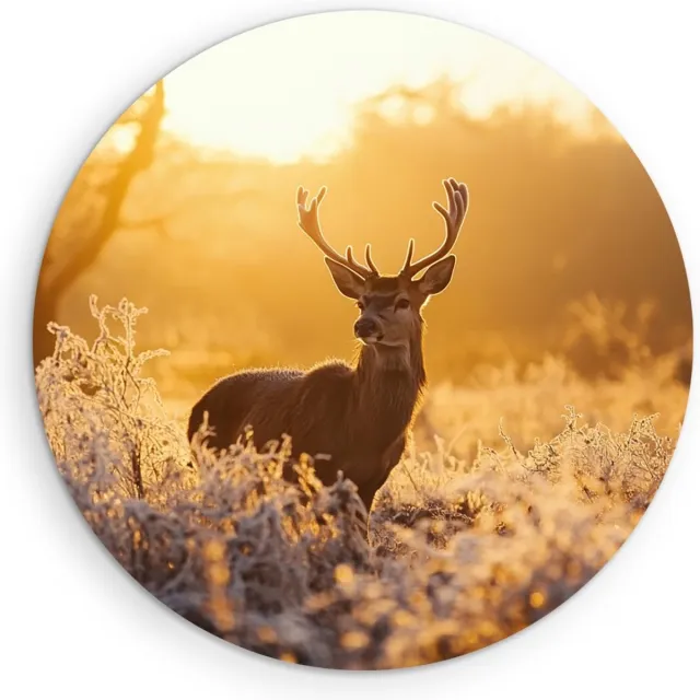 Saammp Muurcirkel Hout - Natuur - Hert in wei - winter - Dieren - Ø 30 - Wandcirkel - Wanddecoratie Cirkel - Muurdecoratie Woonkamer - Slaapkamer decoratie - Rond Schilderij