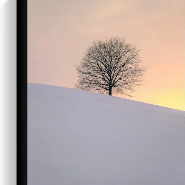 KuijsFotoprint Canvas - Boom achter een Berg Sneeuw - 30x40cm Foto op Canvas Schilderij (Wanddecoratie op Canvas) Wit