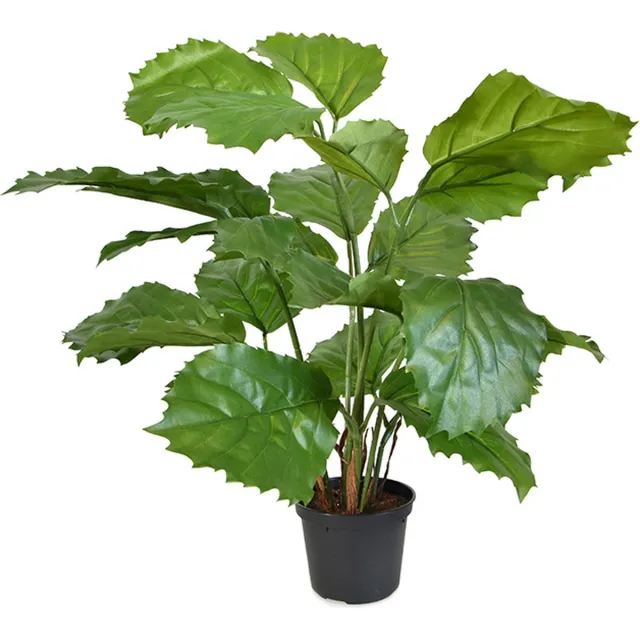 maxifleur Kunstplanten Tetrastigma kunstplant 40cm Groen