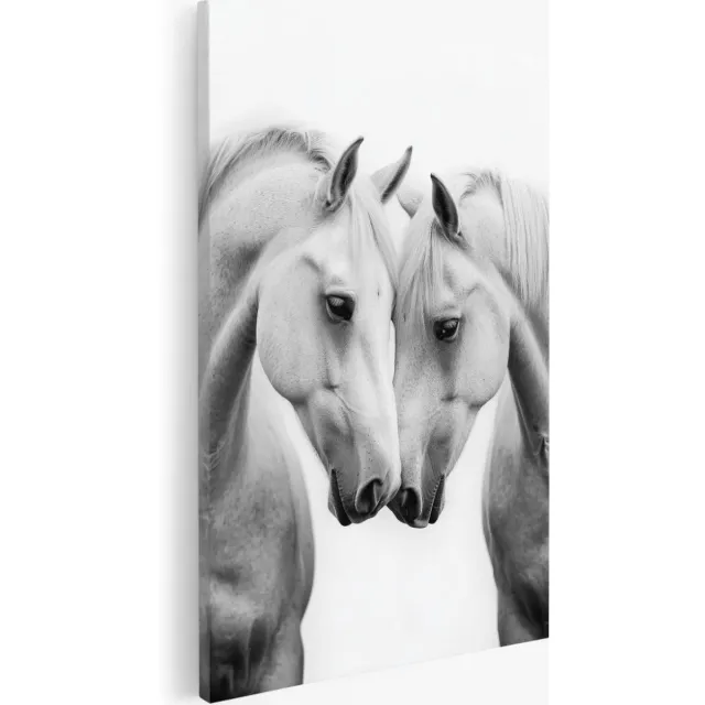 Saammp Canvas Schilderij - 2 witte paarden - Liefde - Dieren - Abstract - 50x70 - Foto op canvas - Wanddecoratie - Muurdecoratie Woonkamer - Slaapkamer decoratie - Canvas Print Multicolor