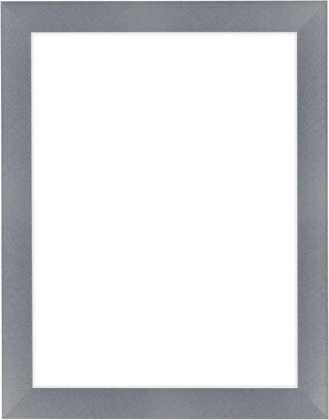 Dutch Frame Factory Fotolijst 75x98 cm - MDF - Aluminium Geborsteld - Colonia