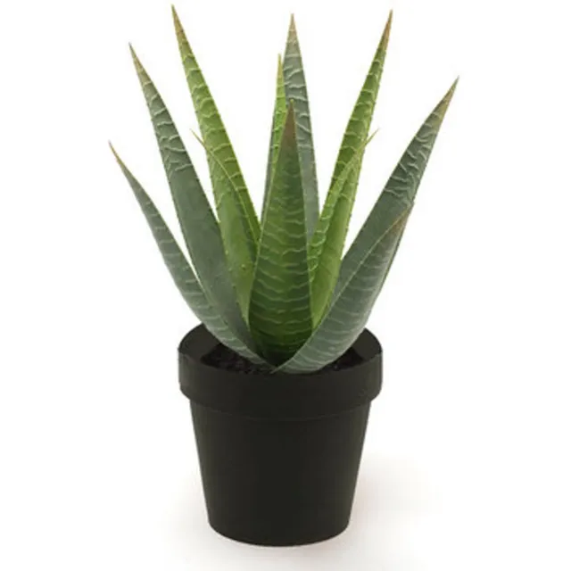 Emerald Kunstplant in pot Aloe Vera 32cm - Kunstplant voor binnen Groen