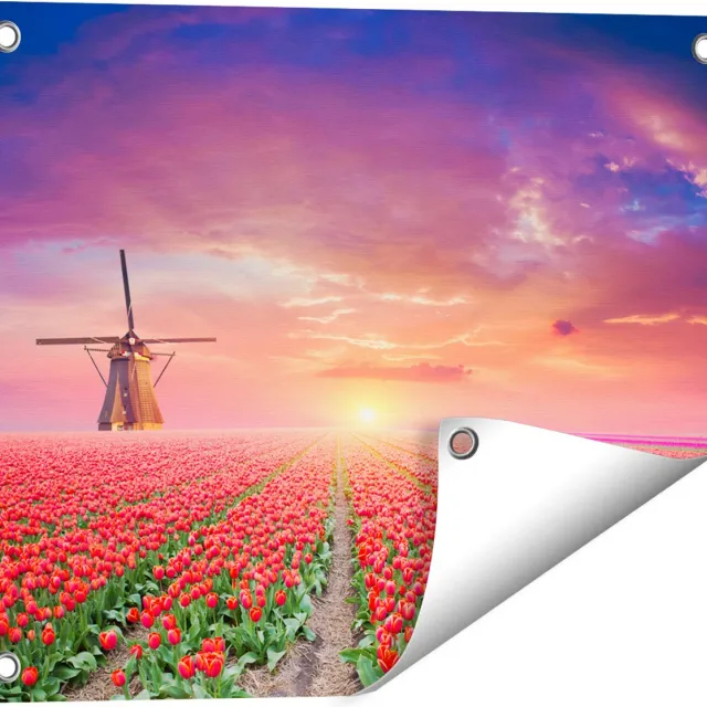 Gards Tuinposter Rode Rozen Bloemenveld met een Windmolen - 50x40 cm - Tuindoek - Tuindecoratie - Wanddecoratie buiten - Tuinschilderij Multikleur