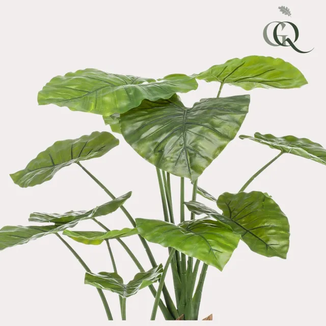 Green Boutiq kunstplant - Alocasia - Olifantsoor - 110cm Bruin