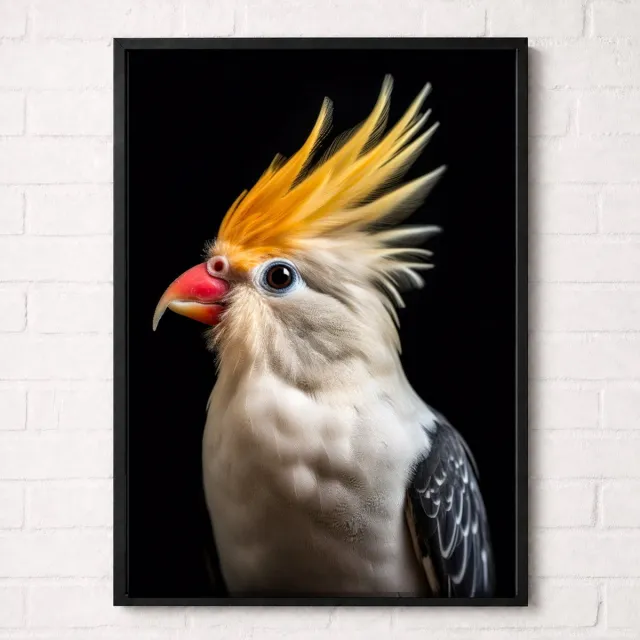 Kleurmedia Valkparkiet Poster - Vogelportretten Collectie - Dieren Posters - A2+ 43,2 x 61 cm Wit