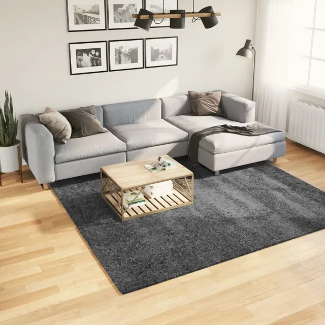 vidaXL Vloerkleed OVIEDO laagpolig 240x240 cm antracietkleurig, foto 2