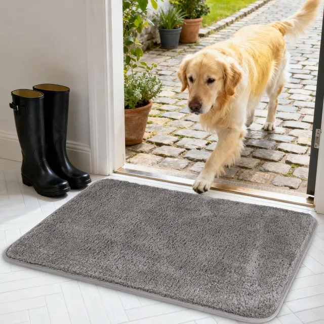Famanu Deurmat voor Binnen - Houdt vuil en vocht buiten - Superabsorberend en antislip - Grijs 1 stuk