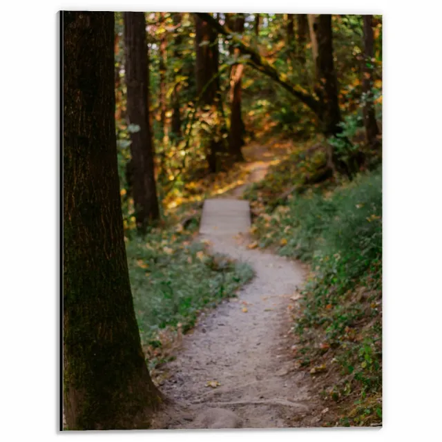 KuijsFotoprint Dibond - Pad in Bos met Bruggetje - 30x40cm Foto op Aluminium (Wanddecoratie van metaal) Groen