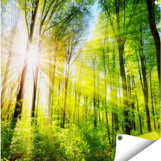 Gards Tuinposter Weg Omringd met Bomen in het Bos - 70x70 cm - Tuindoek - Tuindecoratie - Wanddecoratie buiten - Tuinschilderij Multikleur