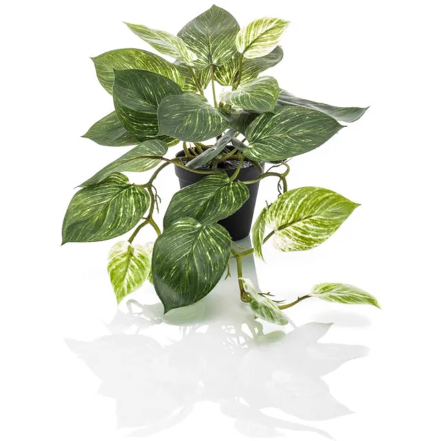 Emerald Kunstplant in pot Scindapsus groen/wit 55cm - Kunstplant voor binnen Groen, Wit