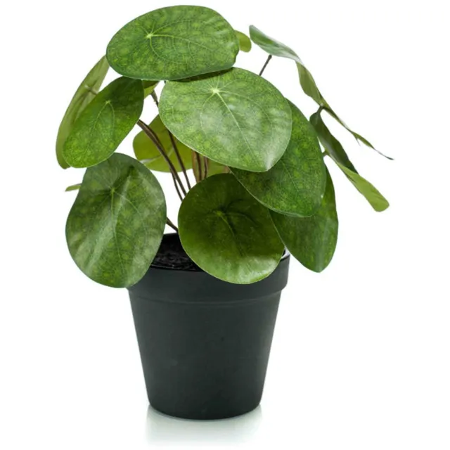 Emerald Kunstplant in pot Pilea 22cm - Kunstplant voor binnen Groen