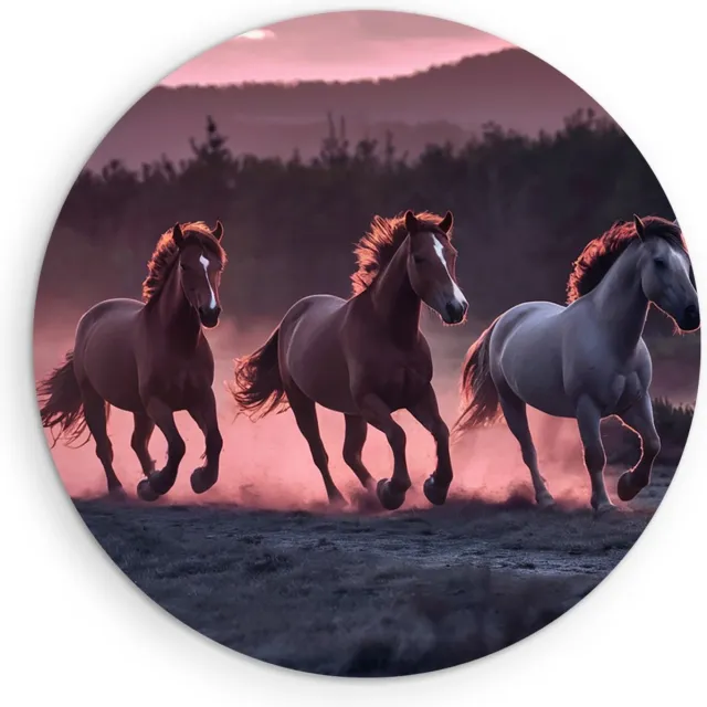 Saammp Muurcirkel Hout - Paarden in zonsondergang - Natuur - Dieren - Ø 70 - Wandcirkel - Wanddecoratie Cirkel - Muurdecoratie Woonkamer - Slaapkamer decoratie - Rond Schilderij