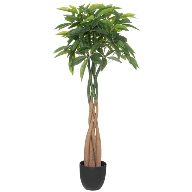 Atmosphera Créateur d'intérieur® Kunstplant Pachira H120 cm Noir