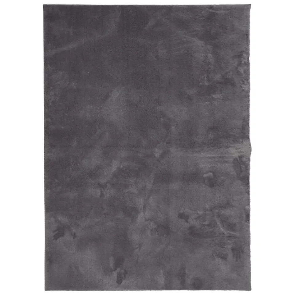 vidaXL Vloerkleed HUARTE laagpolig zacht wasbaar 120x170 cm antraciet, foto 3