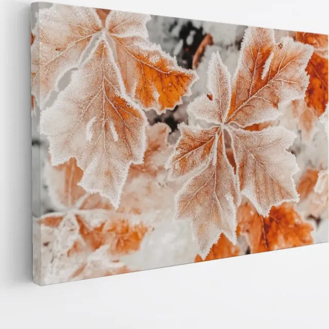 Saammp Canvas Schilderij - Bevroren Herfstbladeren - Natuur Fotografie - Premium Kwaliteit - Foto op canvas - Wanddecoratie - Luxe Woondecoratie - 70x50 Multicolor