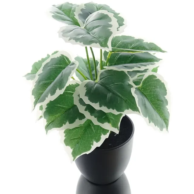 DPI GmbH DPI klimop Gloire de Marengo kunstplant 32 cm Groen