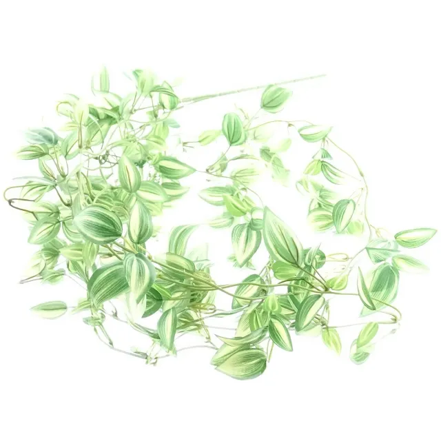 Gasper Tradescantia rank groen & wit 102 cm - kunstplanten