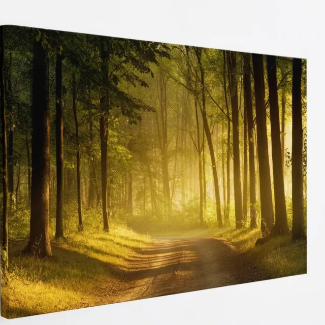 Saammp Canvas Schilderij - Weg door het bos - Bomen - Landschap - Natuur - 90x60 - Foto op canvas - Wanddecoratie - Muurdecoratie Woonkamer - Slaapkamer decoratie - Canvas Print Multicolor