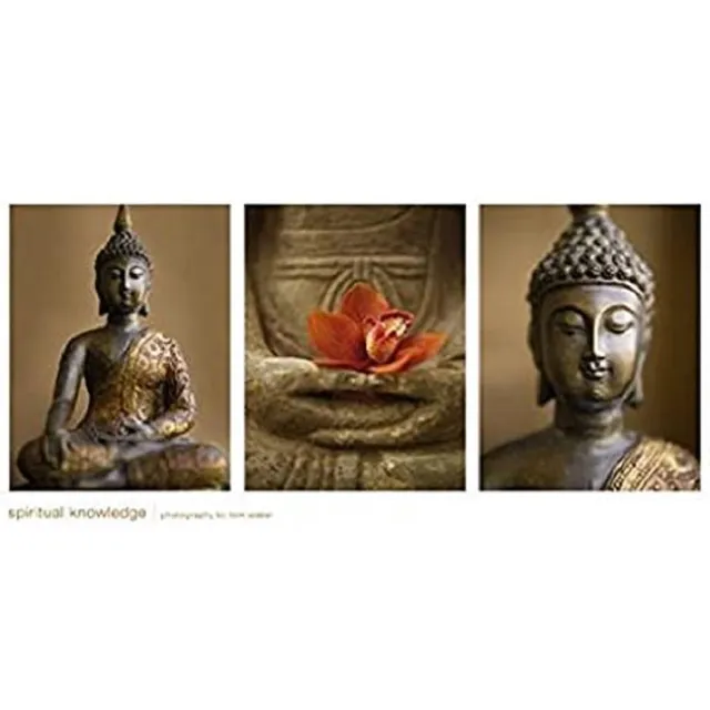 PGM poster PGM Tom Weber - Spiritual knowledge (100 x 50) diverse kleuren