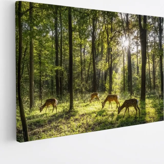 Saammp Canvas Schilderij - Natuur - 2 Bomen op Rotsen - landschappen - 120x80 - Foto op canvas - Wanddecoratie - Muurdecoratie Woonkamer - Slaapkamer decoratie - Canvas Print Multicolor