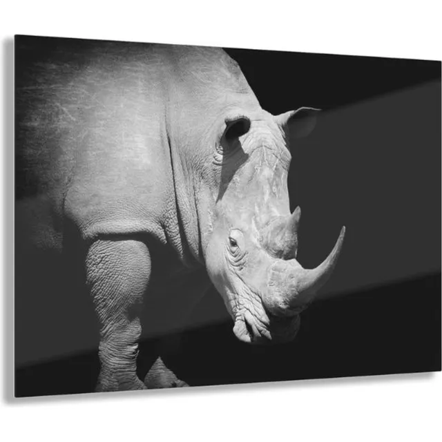 Myfinto Indoorart - Glasschilderij Neushoorn 90x60 CM - Afbeelding op plexiglas - Inclusief montagemateriaal zwart