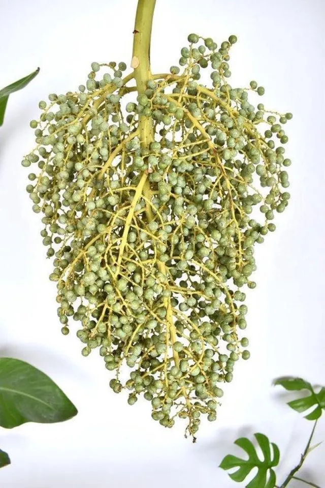 Natuurlijk Bloemen Dadeltakken - Verse Dadel Takken - decoratie - Natuurlijk Bloemen Groen