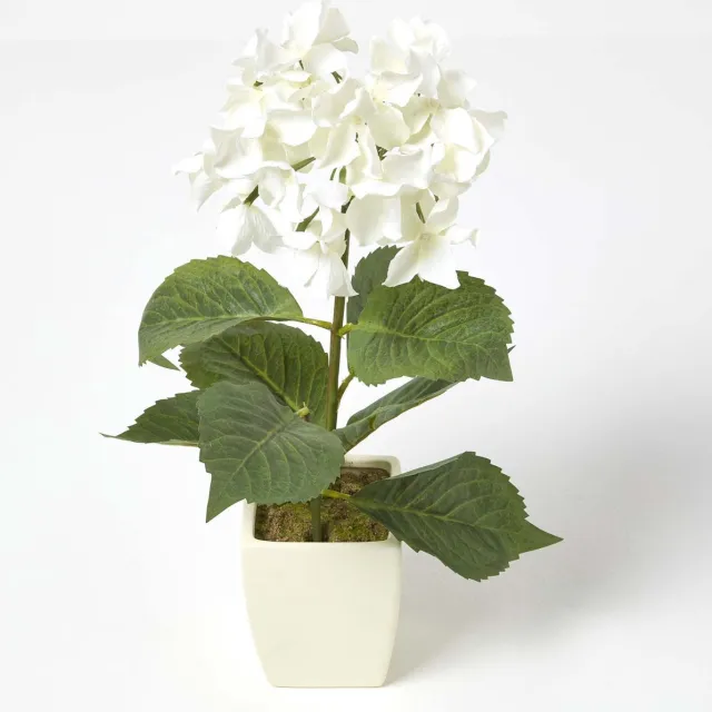 Homescapes Kunsthortensia's in witte pot, crème