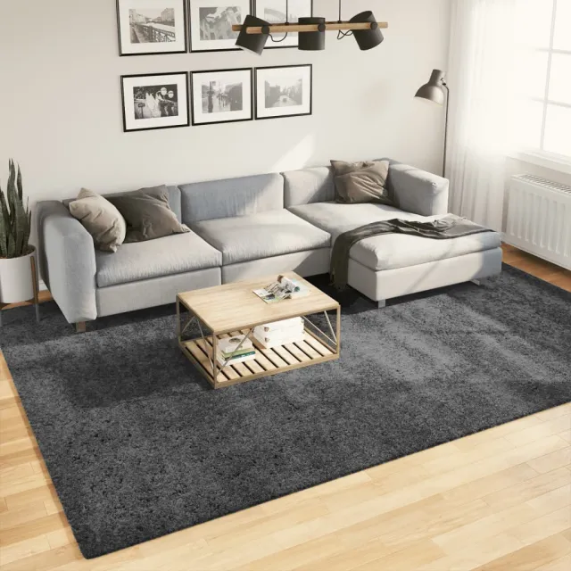 vidaXL Vloerkleed OVIEDO laagpolig 240x340 cm antracietkleurig, foto 2