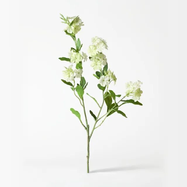 HEMA Kunstbloem 55cm viburnum wit (wit)
