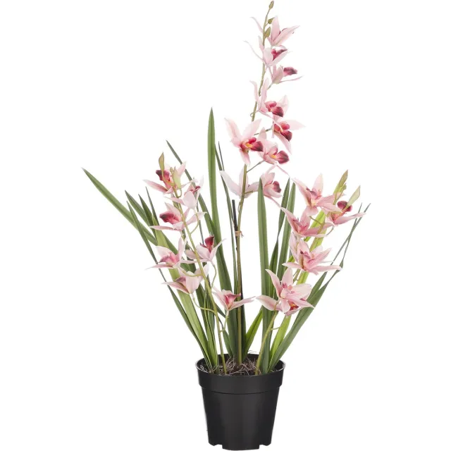 Mica Decorations Orchidee bloem kunstplant - perzik roze - H66 x B34 cm