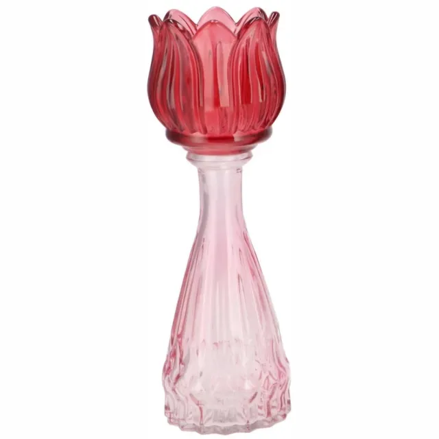 Daan-Kromhout Bicolore dutch pink mix tulip vase 7x22cm rose
