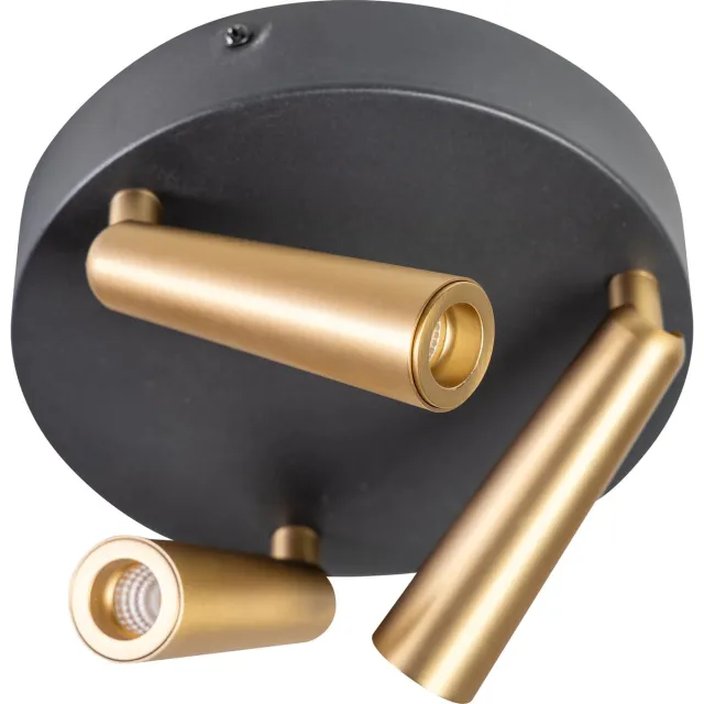 Expo Trading ETH Barry Spot led 3x3w 2700k rond zwart+mat messing dimbaar W330xH165mm 3x66Lm Goud Zwart