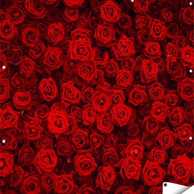 Gards Tuinposter Rode Rozen Achtergrond - 120x120 cm - Tuindoek - Tuindecoratie - Wanddecoratie buiten - Tuinschilderij Multikleur