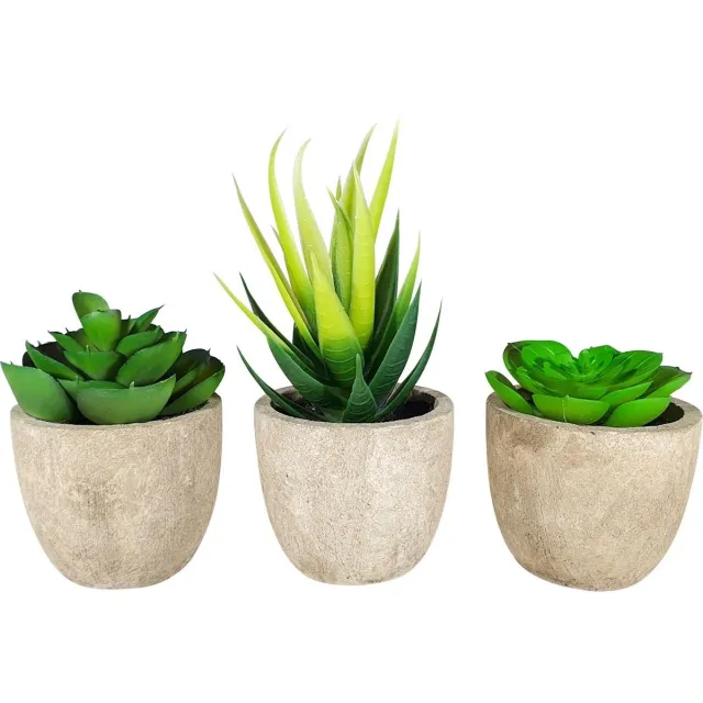 GreenDream 3 stuks Kunstplanten - Kamerplanten - Nep planten - Vetplanten - Cadeautip Groen