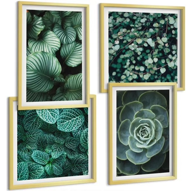 TULUP 4-Delige Schilderij Set - Groene bladeren van vetplanten en tere takjes - 40 x 40 cm en 40 x 60 cm - Muurdecoratie - Decoratieve Schilderijen - Wohnzimmer Gouden lijst