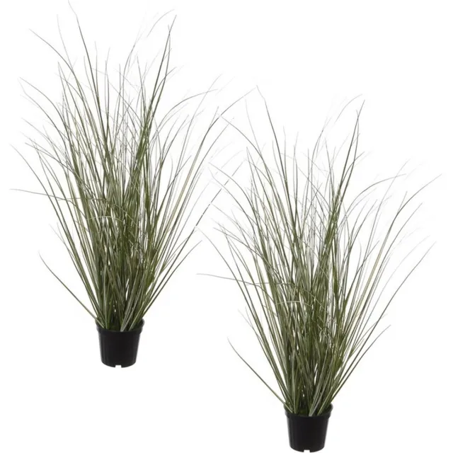 Louis Maes Pennisetum siergras kunstplant - Set van 2x stuks - zwarte pot - 50 cm - realistisch - binnenshuis Groen