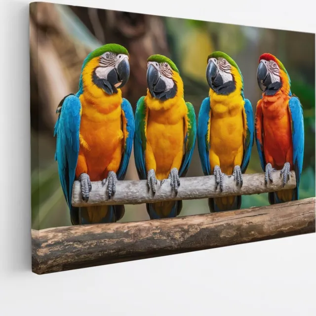 Saammp Canvas Schilderij - 4 papegaaien op tak - Dieren - Bloemen - 60x40 - Foto op canvas - Wanddecoratie - muurdecoratie Woonkamer - Slaapkamer decoratie - Canvas Print Multicolor
