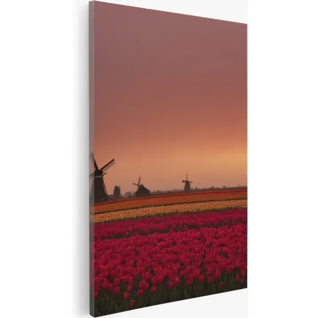 Saammp Canvas Schilderij - Landschap - bloemenveld met een molen - Natuur - 60x90 - Foto op canvas - Wanddecoratie - Muurdecoratie Woonkamer - Slaapkamer decoratie - Canvas Print Multicolor