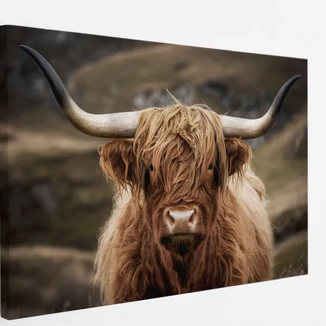 Saammp Canvas Schilderij - Schotse Hooglander Koe tussen de bomen - Winter - Landschap - Dieren - Natuur - 60x40 - Foto op canvas - Wanddecoratie - muurdecoratie Woonkamer - Slaapkamer decoratie - Canvas Print Multicolor