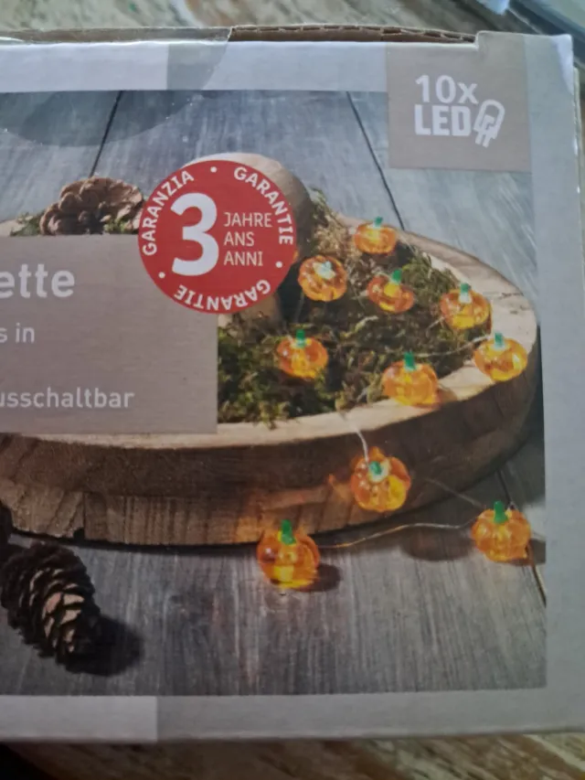 livarno Home LED Licht slinger pompoenen - Herfst decoratie
