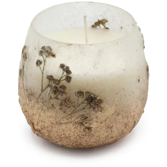 Ancient Wisdom Small Glass Jar Candles - Wildlight Woods multicolor