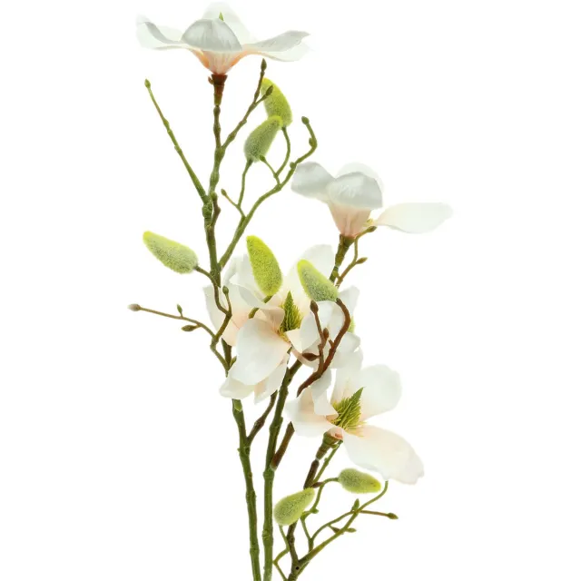 Viana Magnolia Perzik 85cm Wit