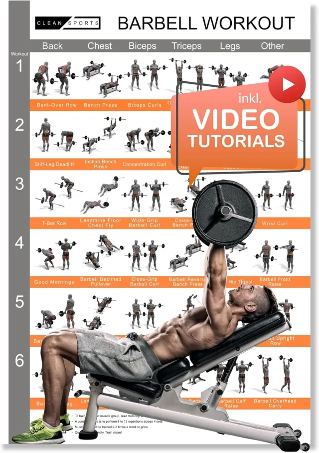 CleanSports Langhantel Oefenposter - 36 Full Body Workouts voor Gym & Thuis
