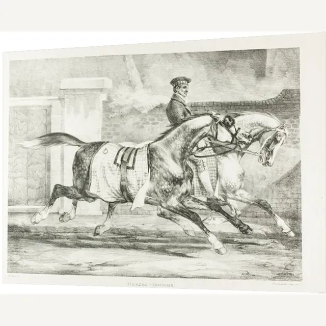 Printen.eu Poster - Horses Exercising, plate 6 from Various Subjects Drawn from Life on Stone - 59.4 x 42 cm Multicolor