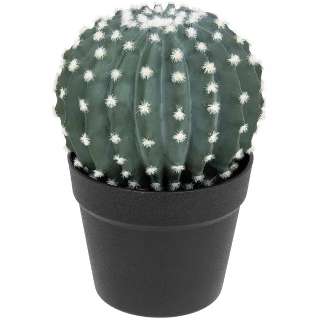 Atmosphera Kunstplant - Cactus met pot - Ø18cm - Groen