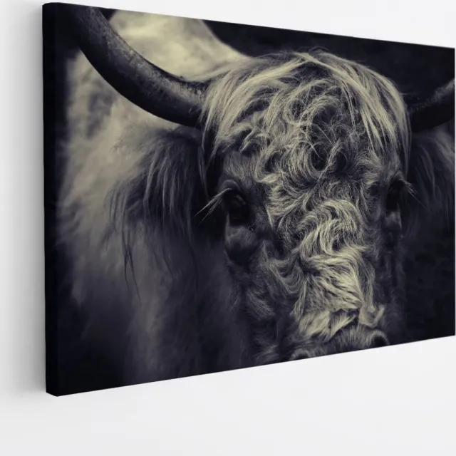 Saammp Canvas Schilderij - Portret Schotse Hooglander Koe - Natuur - Dieren - 100x75 - Foto op canvas - Wanddecoratie - Muurdecoratie Woonkamer - Slaapkamer decoratie - Canvas Print Multicolor