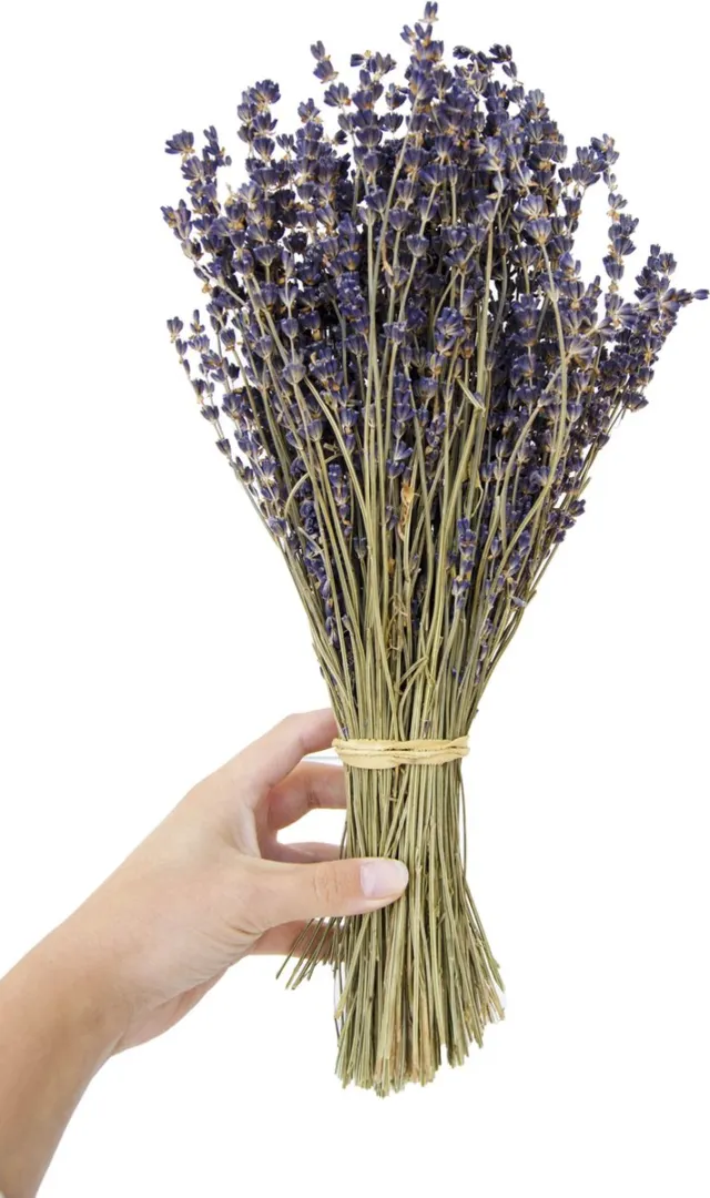 Bio Scents Gedroogde Lavendel - Gedroogde bloemen - droogbloemen - Bosje bloemen - Bosje lavendel - Franse lavendel - Provence - moederdag cadeau - postbloemen Paars/blauw