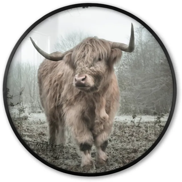 FrameYourWall Poster in lijst Rond - Fotolijst 80x80 cm - Posters - Schotse Hooglander - Bos - Mist - Koe - Dieren - Natuur - Ronde posterlijst zwart - Decoratie - Wanddecoratie woonkamer - Muurdecoratie slaapkamer Wit